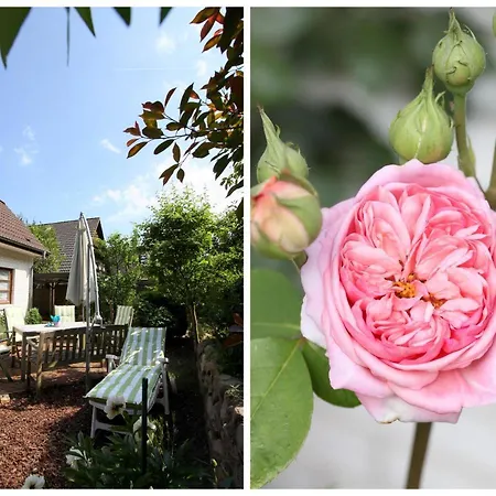 Lägenhet Fewo1846 - Ahoi Marie - Strandnahe Mit 3 Schlafzimmern Flensburg